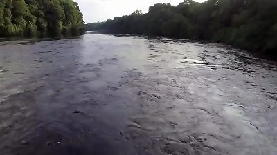 蜻蜓，第 4 部分，老年时代，第 2 集，亚马逊雨林